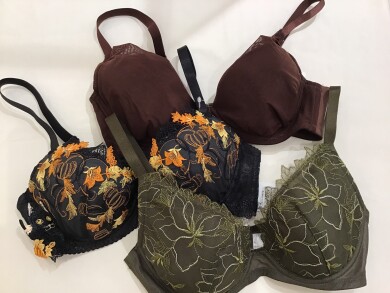 秋カラーブラジャー🍂