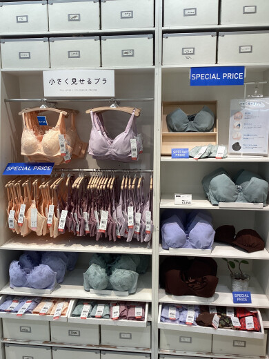 【プレセール】小さく見せるブラシリーズ🉐