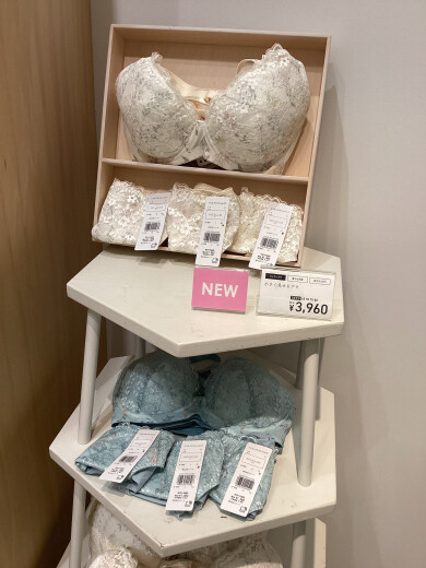 【NEWデザイン】🆕小さく見せるブラ