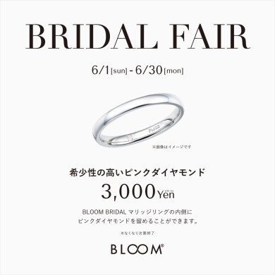 ブライダルフェア開催中✨️