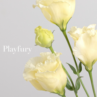 フレッシャーズギフトジュエリー️️️⛅️