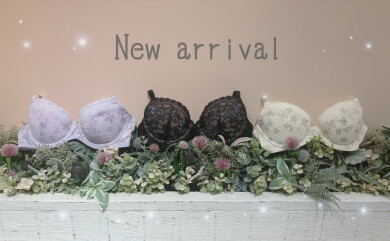 🩷夢みるブラ新作🩷